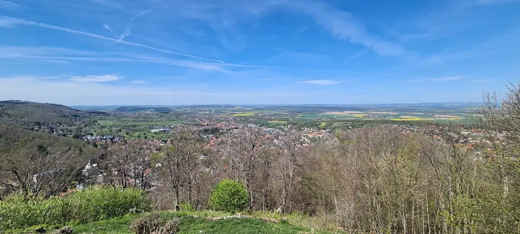 Wanderweg zum Molkenhaus im Abendlicht