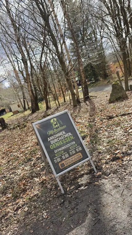 Wegweiser im Wald Richtung Molkenhaus