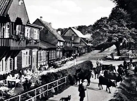 Historische Aufnahme: Gäste vor dem alten Molkenhaus