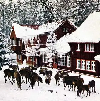 Das alte Molkenhaus im Winter mit Rotwild