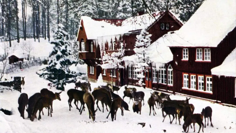 Das alte Molkenhaus im Winter mit Rotwild (historisch)