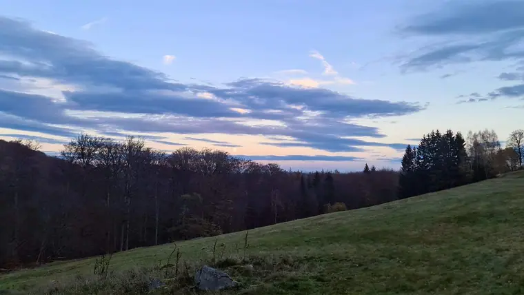 Abendstimmung über der Lichtung, 2022