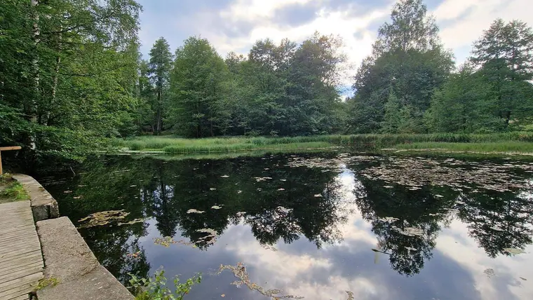 Der Hasselteich, 2022