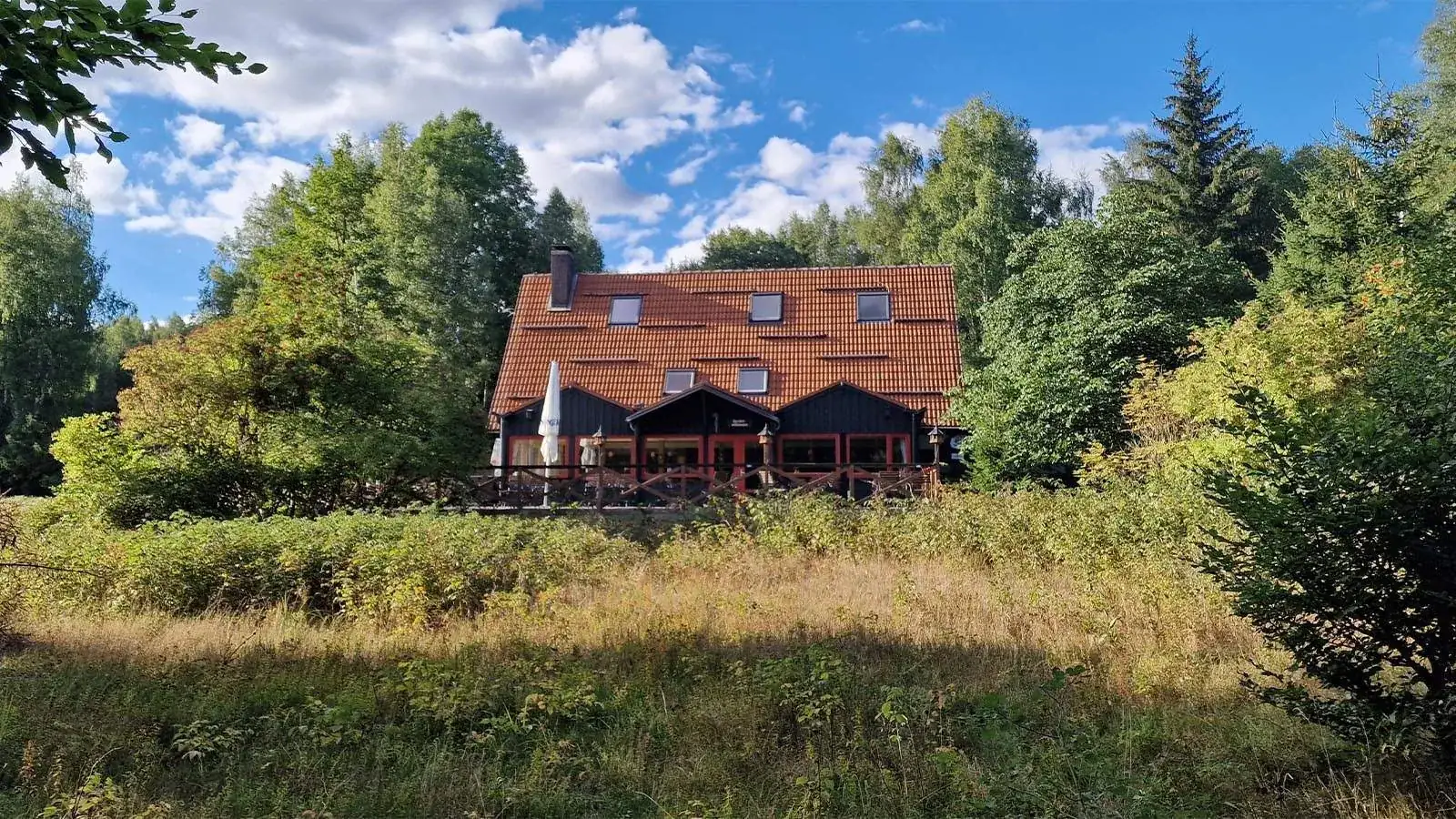 Das Molkenhaus aus der Ferne auf seiner Waldlichtung im Nationalpark Harz
