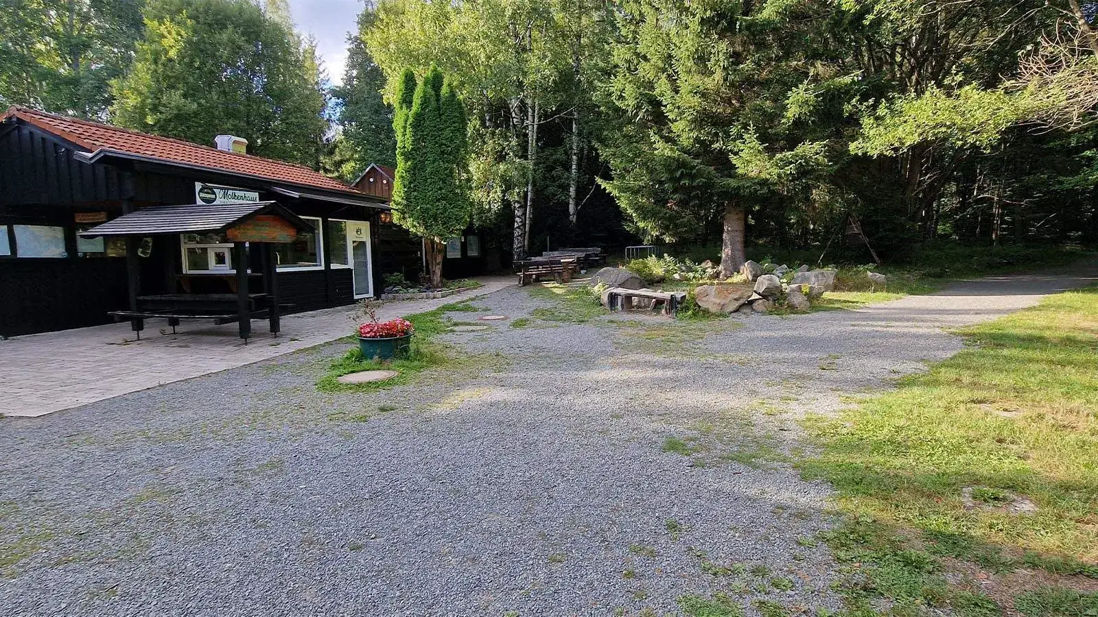 Waldweg mit Sonnenstrahlen im Nationalpark Harz
