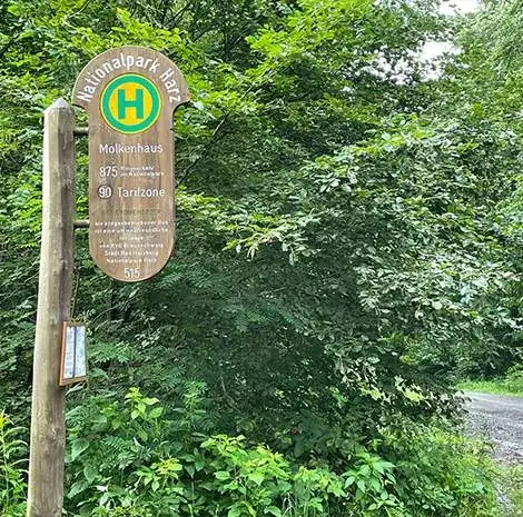 Haltestelle Molkenhaus des Waldbusses 875 im Wald